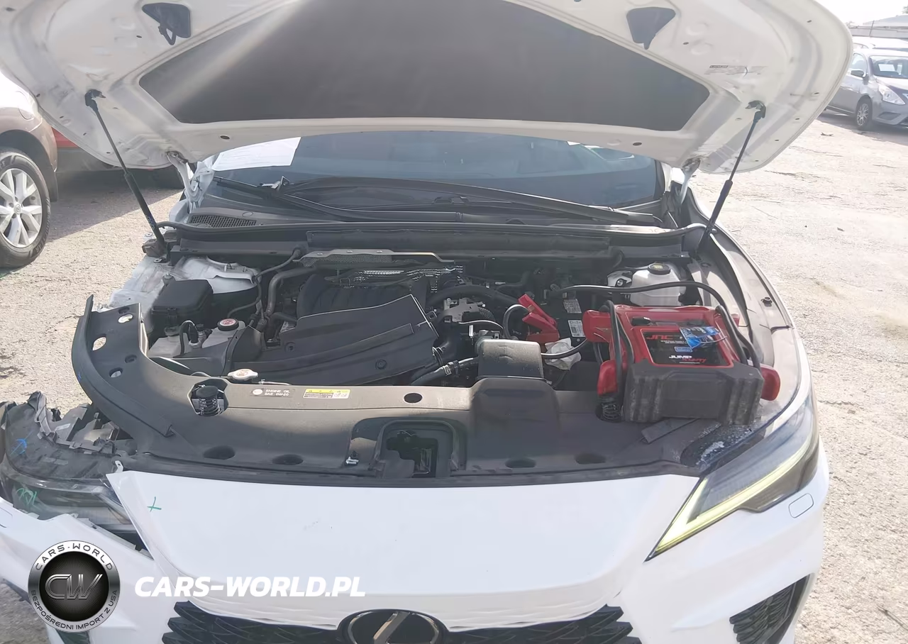 2023 Lexus Rx 350 F Sport Handling VIN:2T2BAMCA7PC009176 - 10