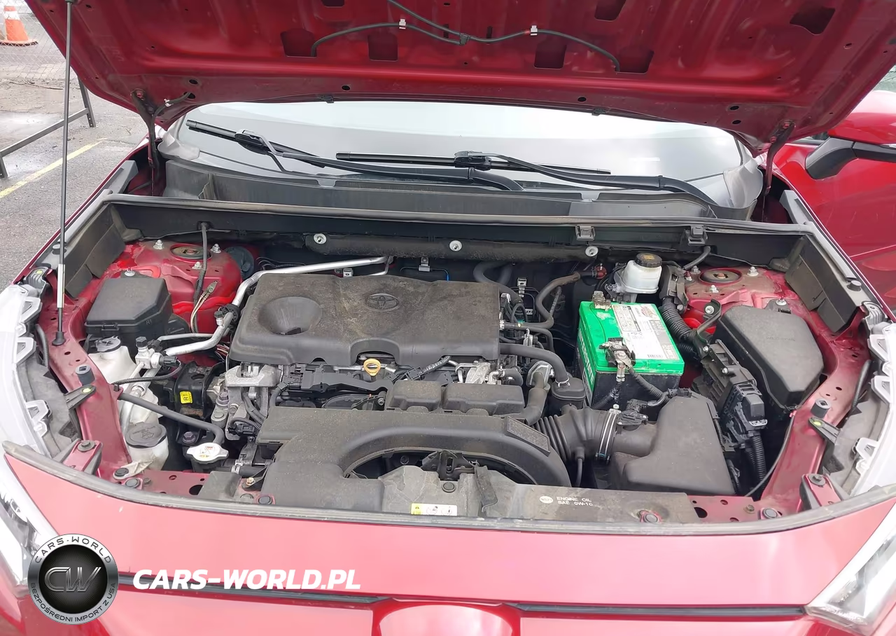 2019 Toyota Rav4 Xle VIN:2T3P1RFV0KC028853 - 10