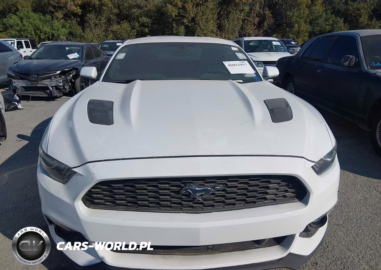 2017 Ford Mustang Gt VIN:1FA6P8CF1H5247651 - 12