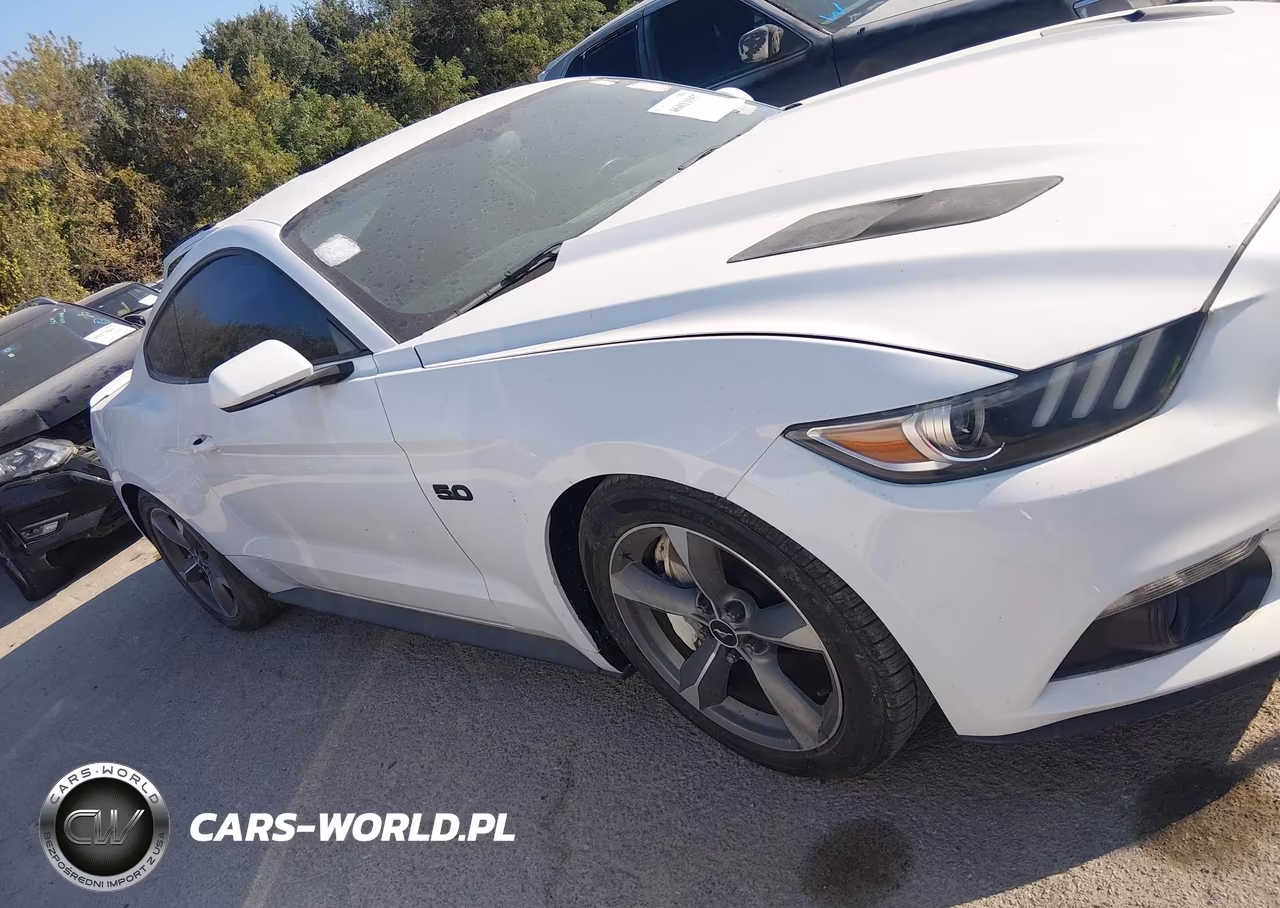 2017 Ford Mustang Gt VIN:1FA6P8CF1H5247651 - 13
