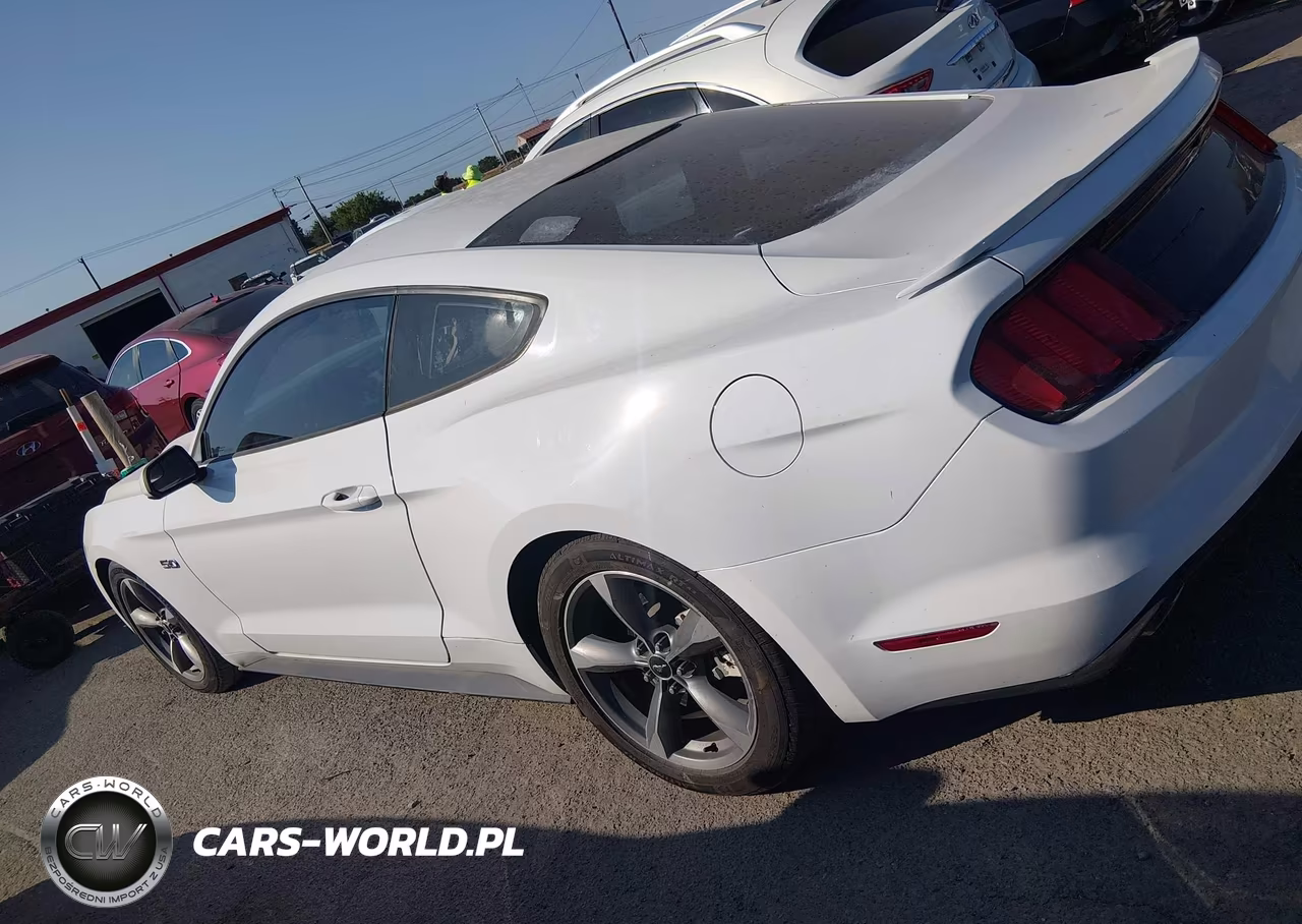 2017 Ford Mustang Gt VIN:1FA6P8CF1H5247651 - 14