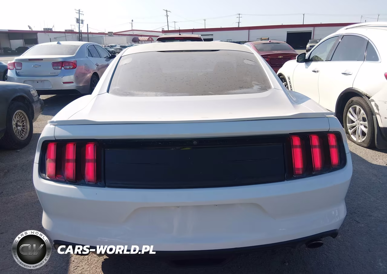 2017 Ford Mustang Gt VIN:1FA6P8CF1H5247651 - 16