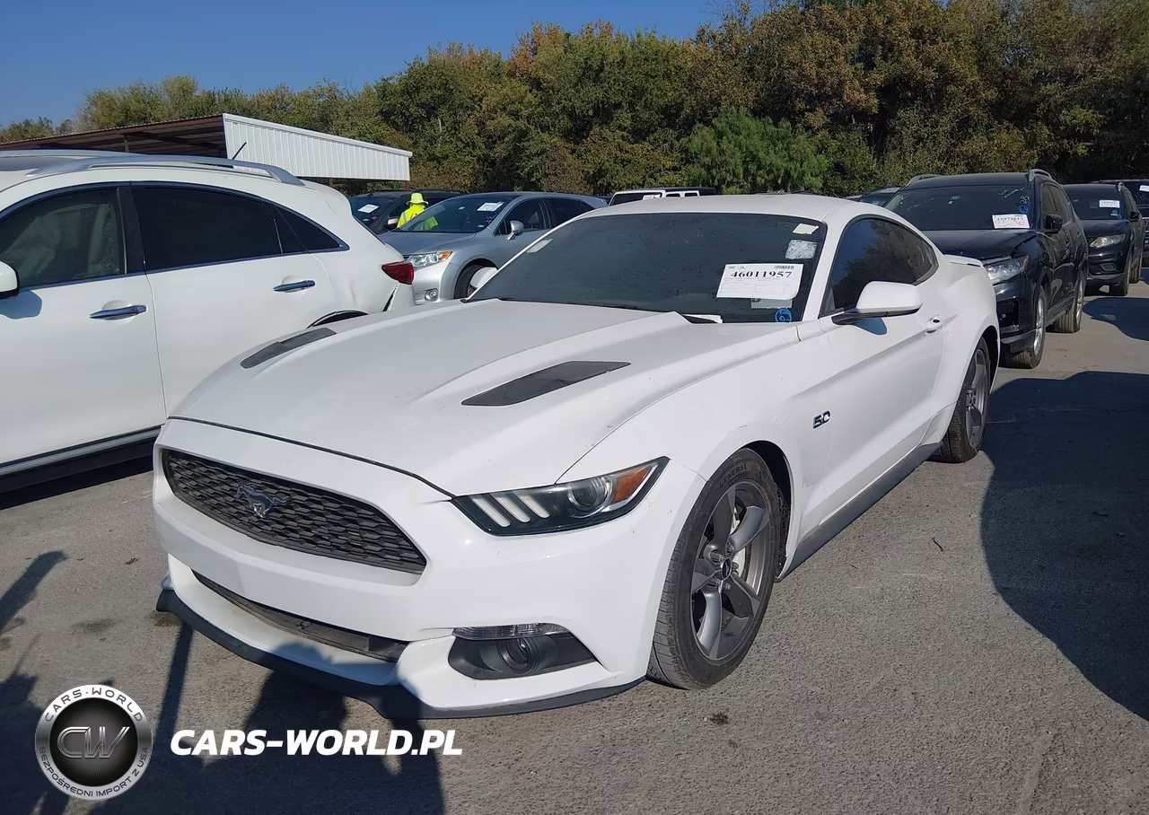 2017 Ford Mustang Gt VIN:1FA6P8CF1H5247651 - 2