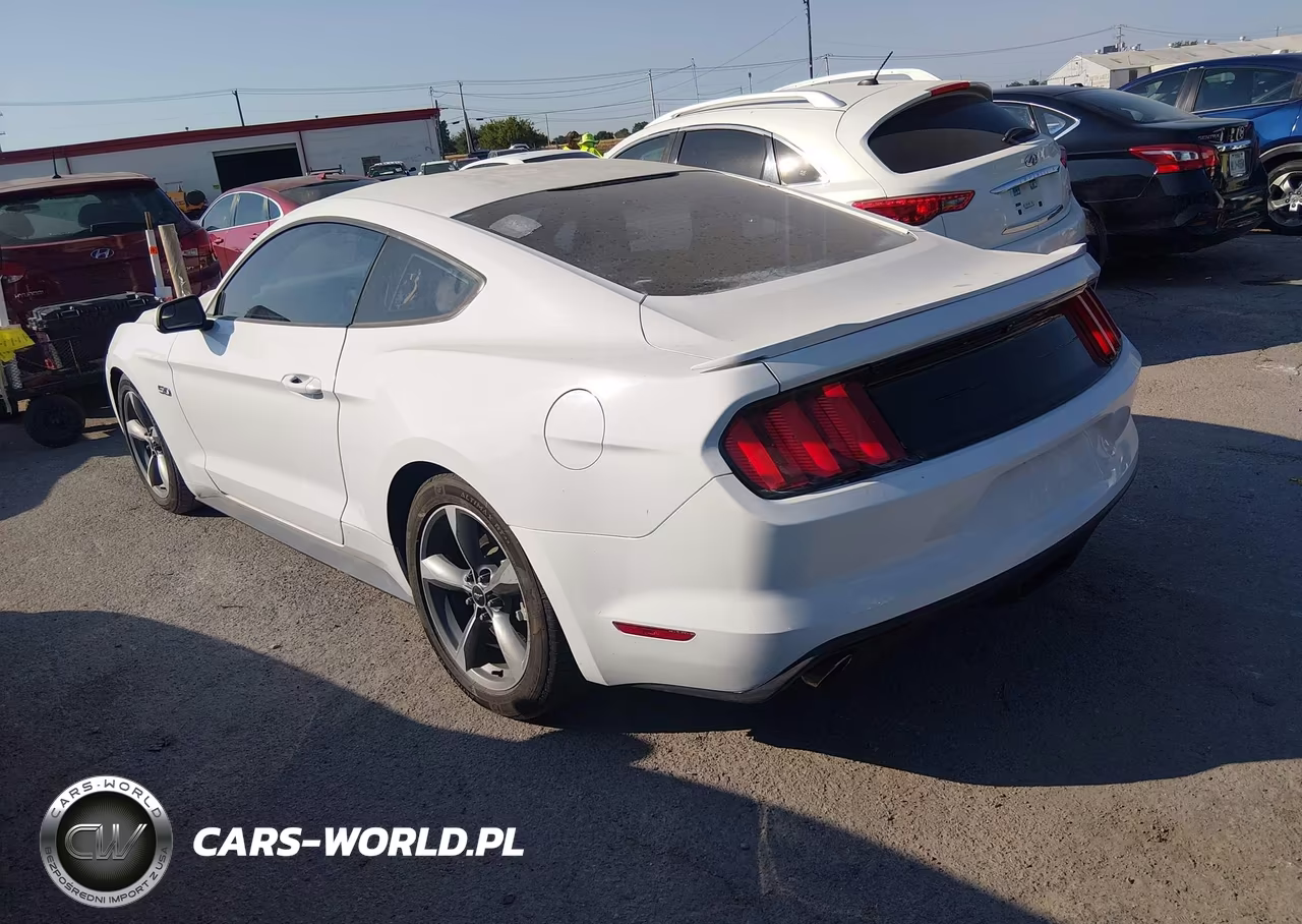 2017 Ford Mustang Gt VIN:1FA6P8CF1H5247651 - 3