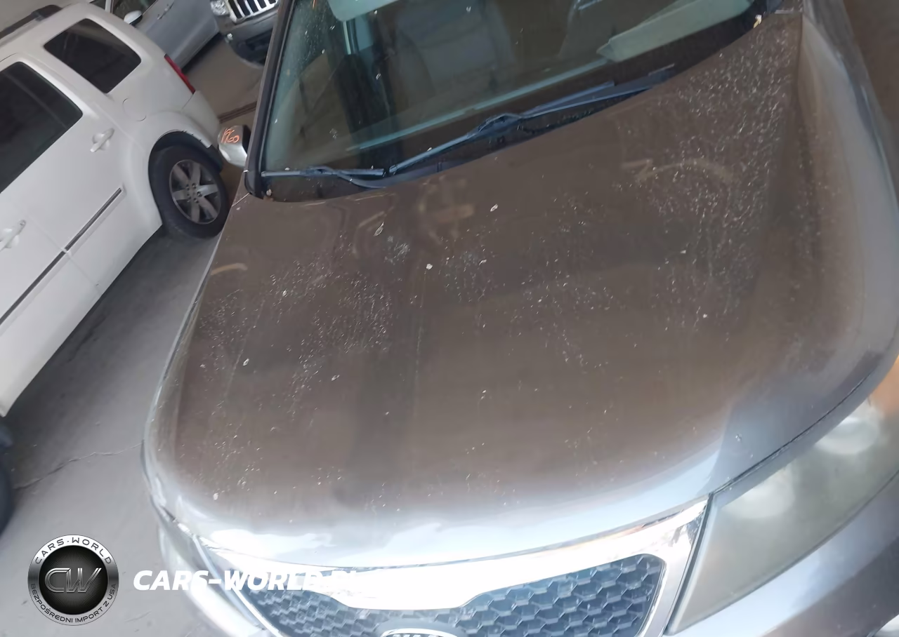 2012 Kia Sorento Lx V6 VIN:5XYKT4A26CG196550 - 10