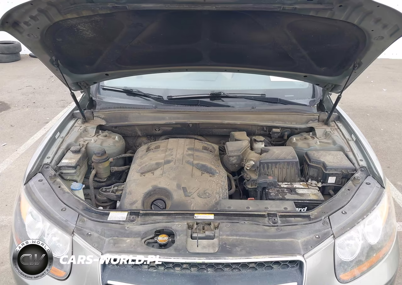 2009 Hyundai Santa Fe Limited VIN:5NMSH73E99H319864 - 10