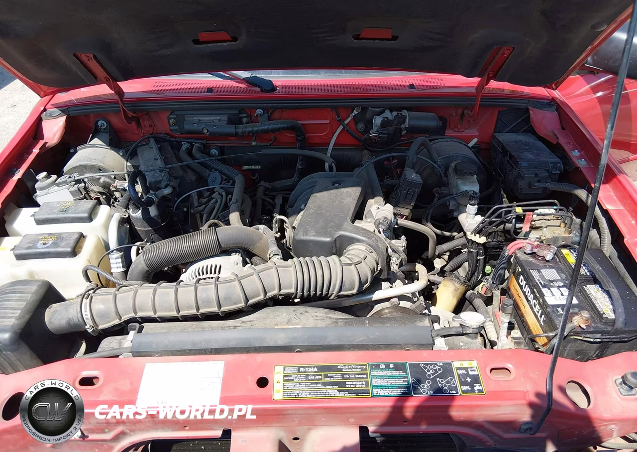 2004 Ford Ranger Edge-Tremor-Xl-Xlt VIN:1FTYR14U44PB65591 - 10