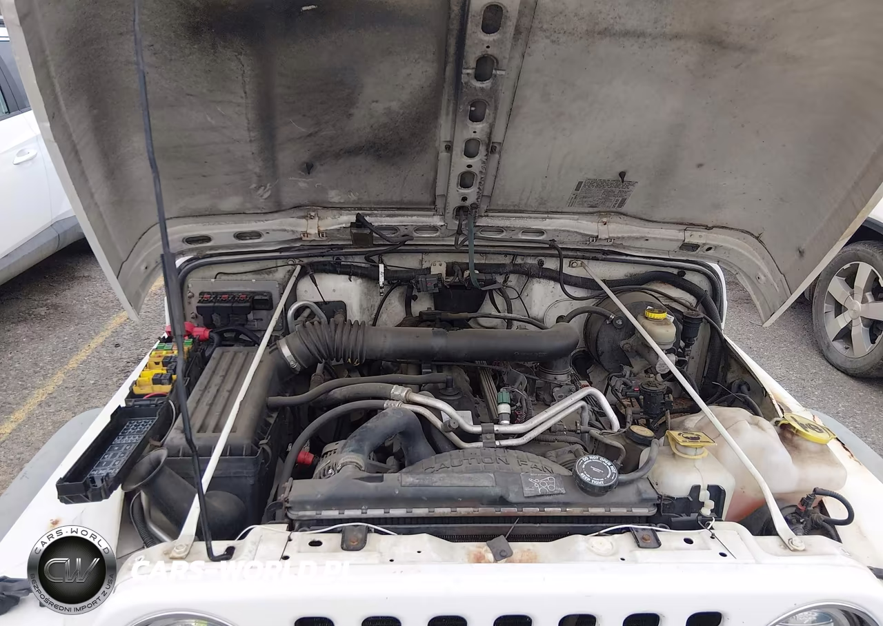 2006 Jeep Wrangler X VIN:1J4FA39SX6P719831 - 10