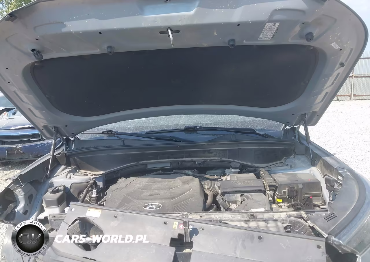 2021 Hyundai Palisade Sel VIN:KM8R4DHE0MU191593 - 10
