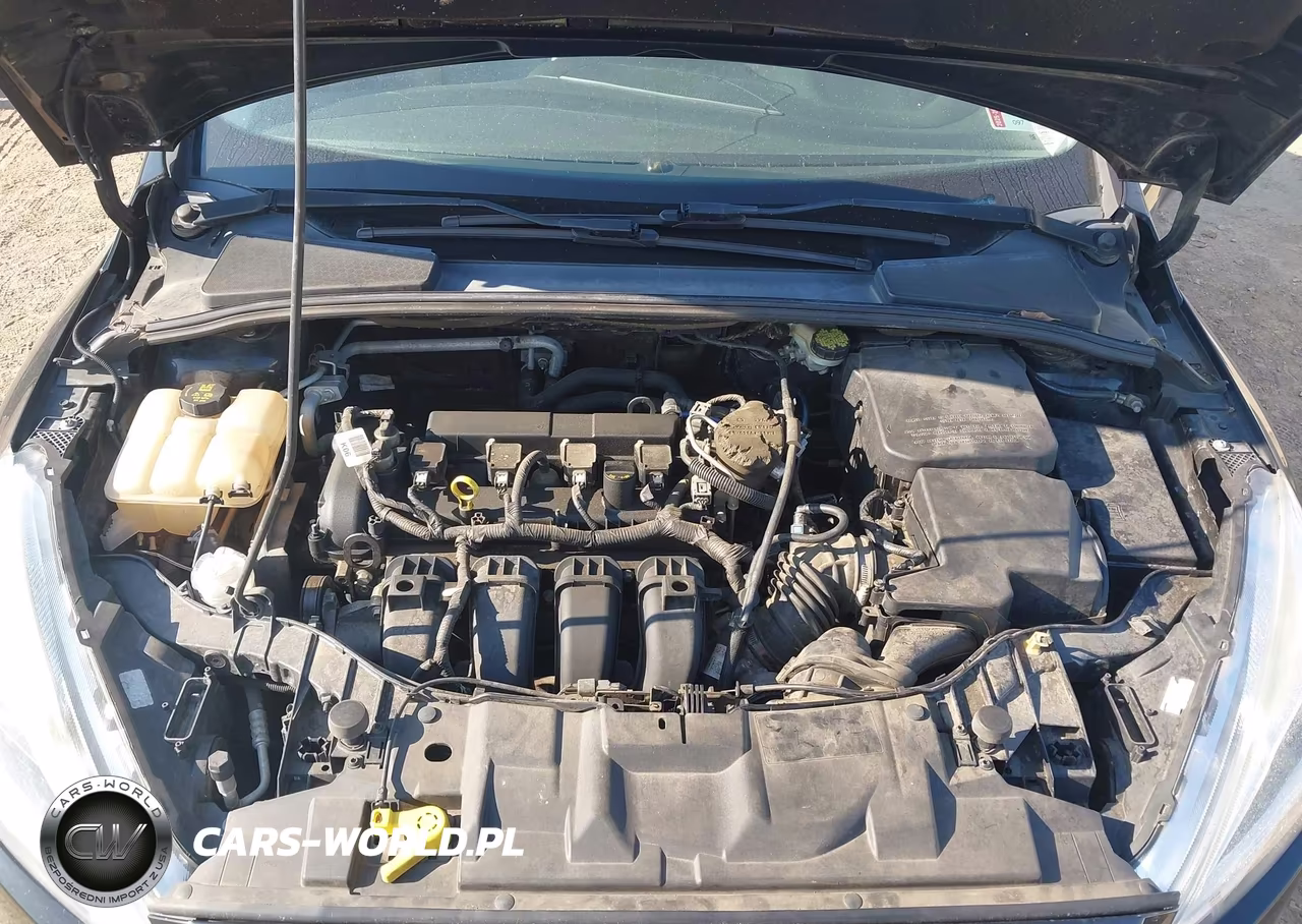 2016 Ford Focus Titanium VIN:1FADP3N26GL235445 - 10