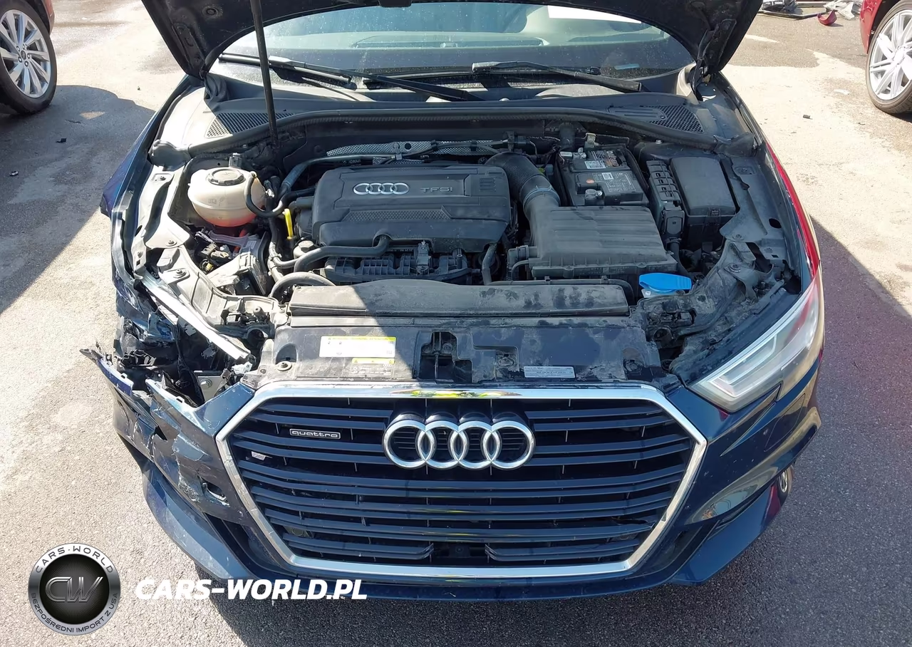 2019 Audi A3 45 Premium VIN:WAUJEGFF6K1019771 - 10