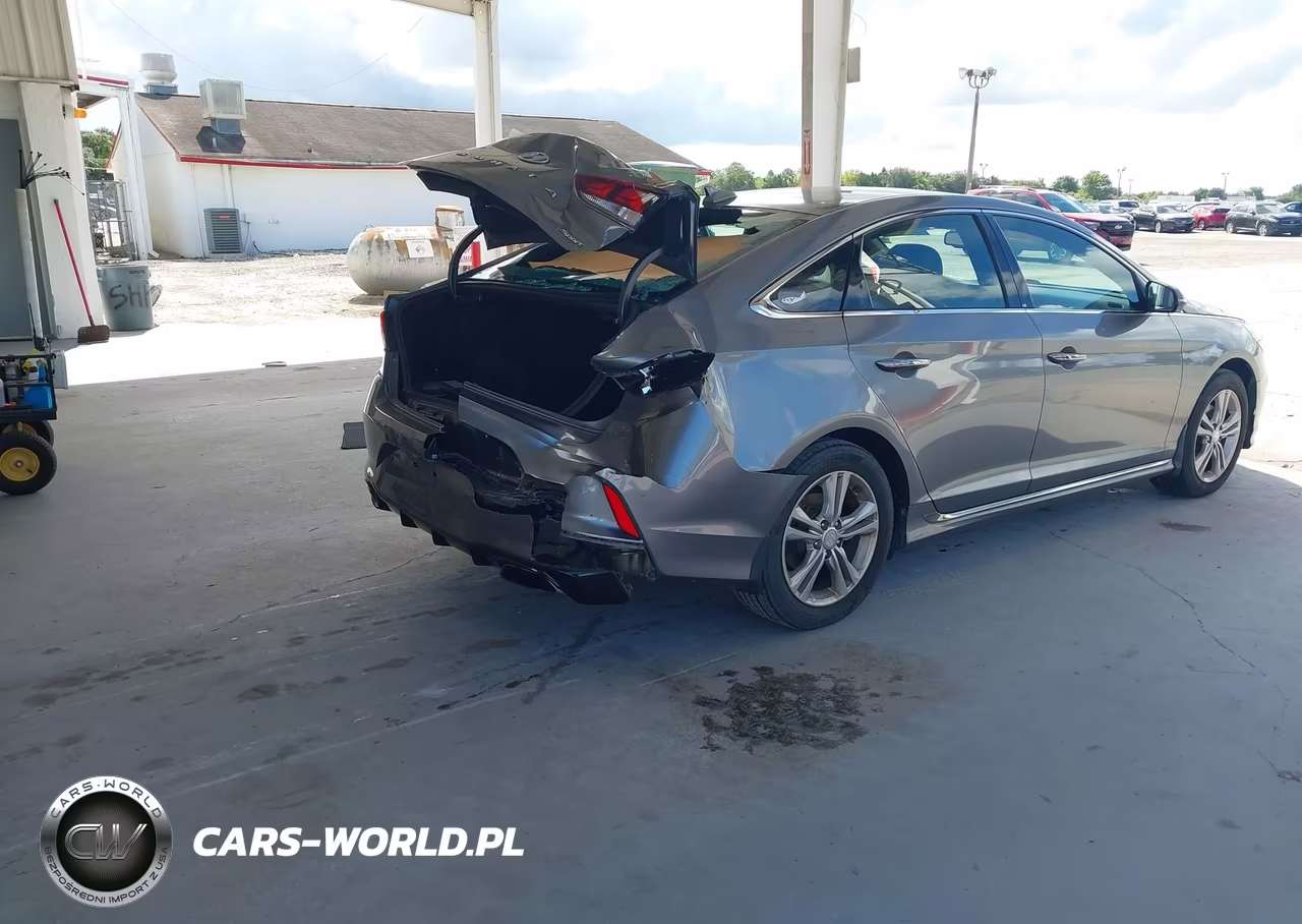 2019 Hyundai Sonata Sport VIN:5NPE34AF4KH752474 - 4