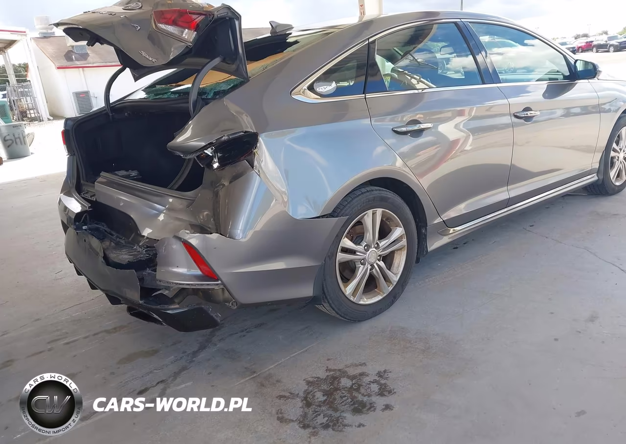 2019 Hyundai Sonata Sport VIN:5NPE34AF4KH752474 - 6