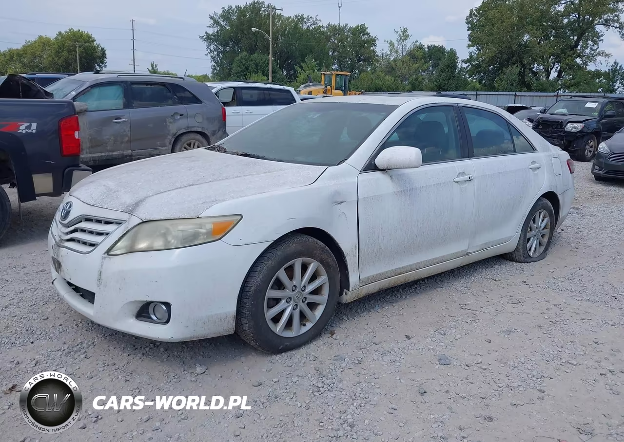 2010 Toyota Camry Xle VIN:4T4BF3EK3AR049062 - 2