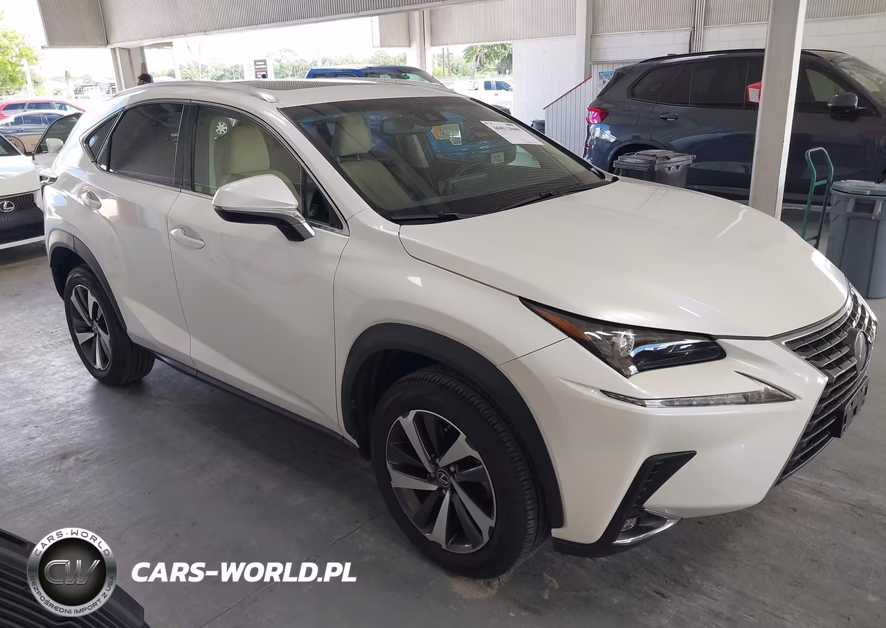 2019 Lexus Nx 300