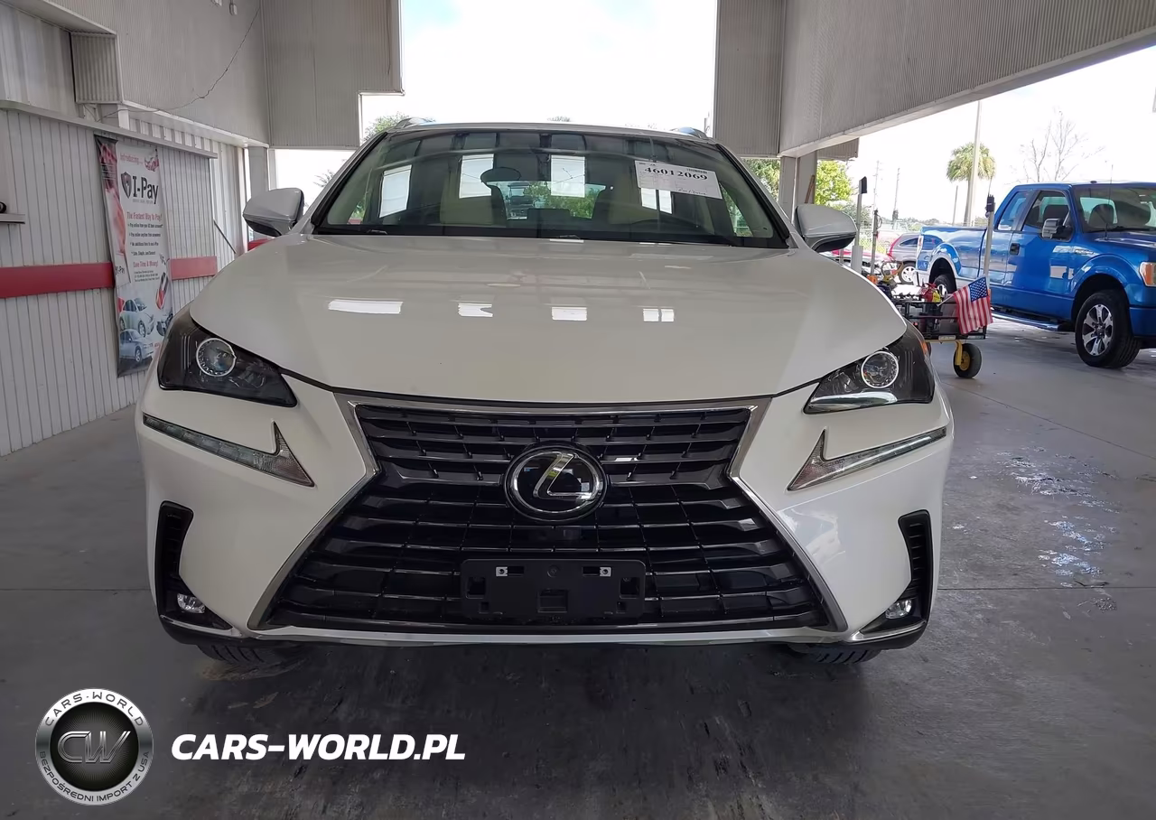 2019 Lexus Nx 300 VIN:JTJYARBZ4K2140296 - 12