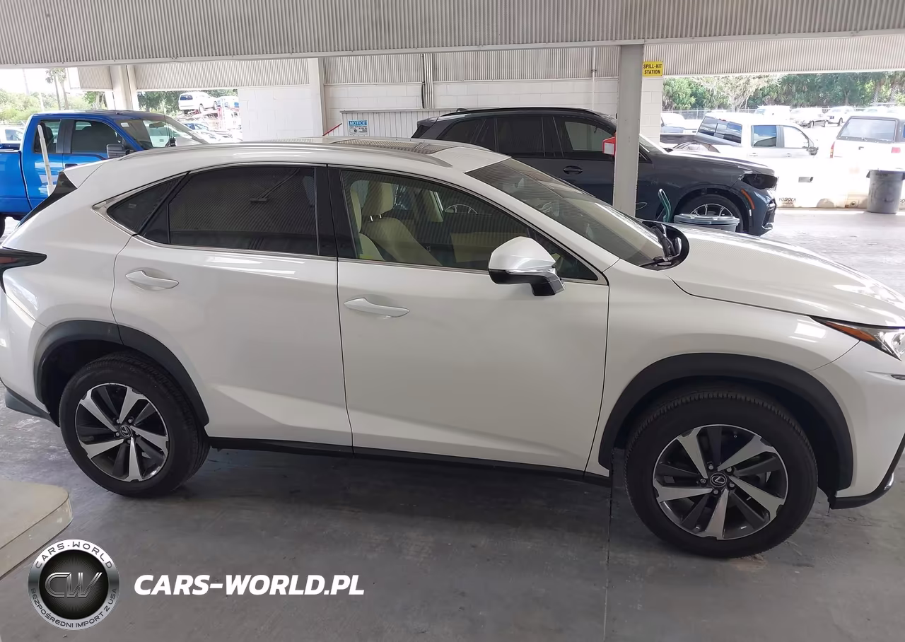 2019 Lexus Nx 300 VIN:JTJYARBZ4K2140296 - 13