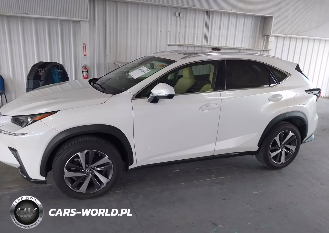 2019 Lexus Nx 300 VIN:JTJYARBZ4K2140296 - 14