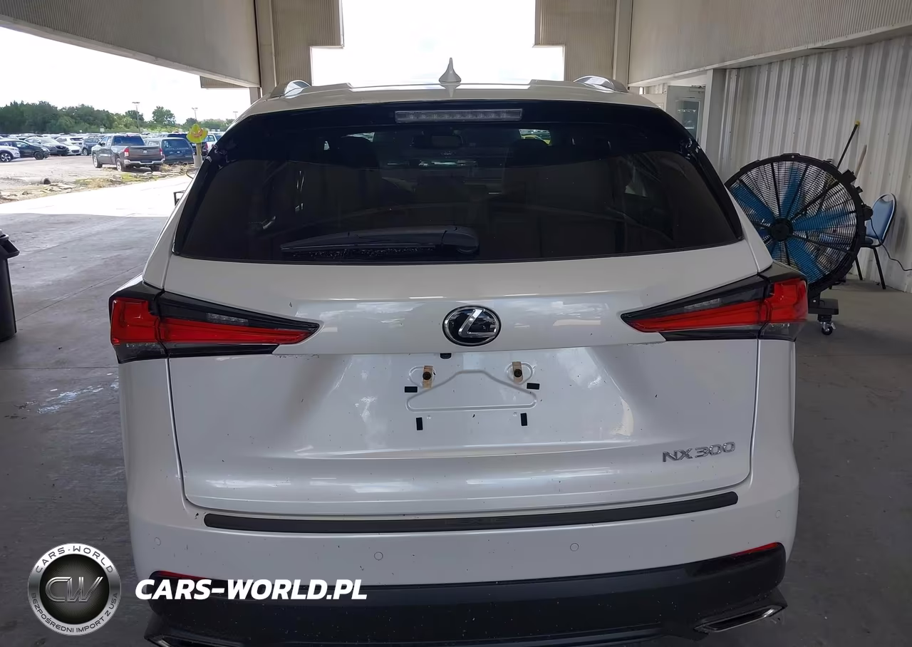 2019 Lexus Nx 300 VIN:JTJYARBZ4K2140296 - 16