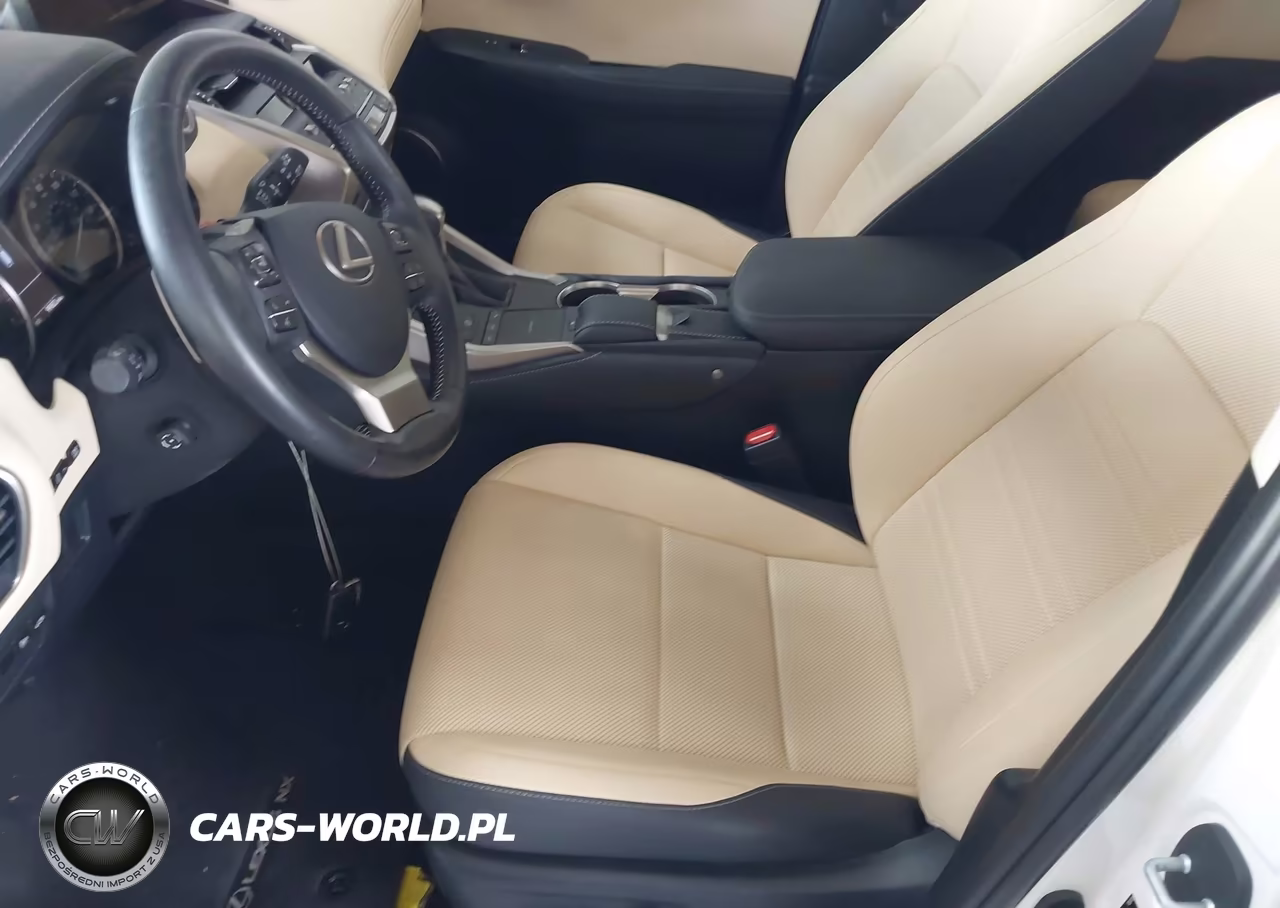 2019 Lexus Nx 300 VIN:JTJYARBZ4K2140296 - 17