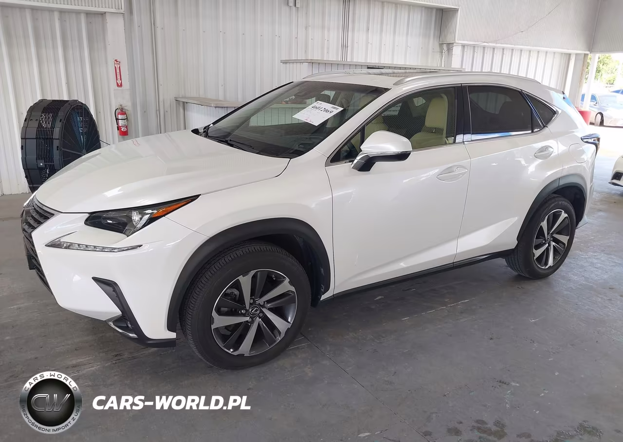 2019 Lexus Nx 300 VIN:JTJYARBZ4K2140296 - 2
