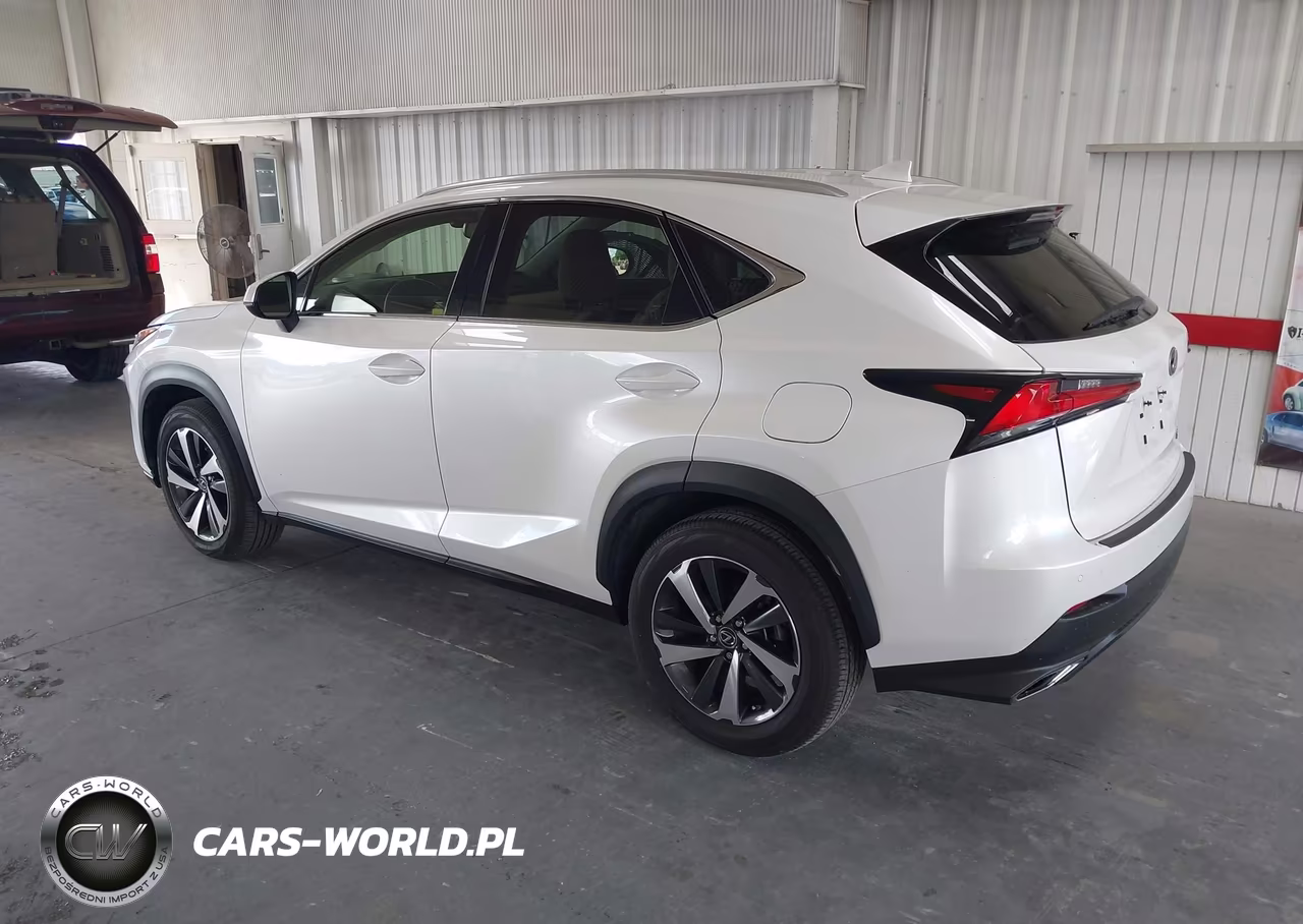 2019 Lexus Nx 300 VIN:JTJYARBZ4K2140296 - 3