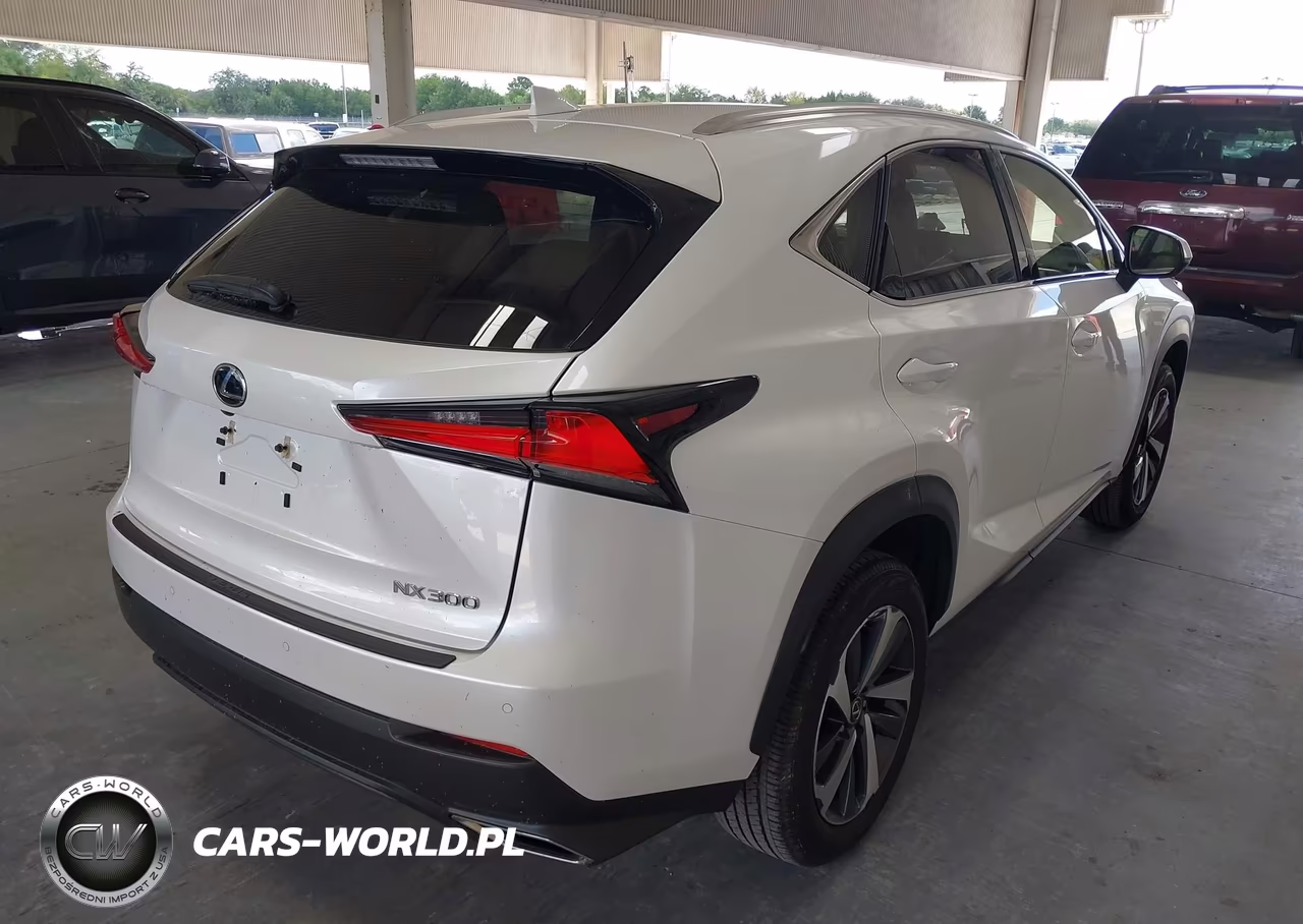 2019 Lexus Nx 300 VIN:JTJYARBZ4K2140296 - 4
