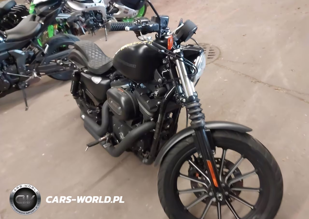 2009 Harley-Davidson Xl883 N – zdjęcie 1 z 13