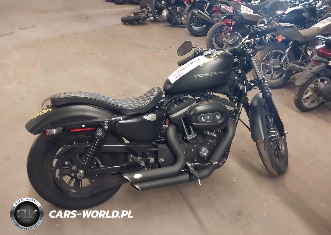 2009 Harley-Davidson Xl883 N VIN:1HD4LE2469K454484 - 12