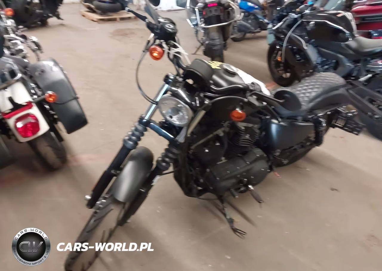 2009 Harley-Davidson Xl883 N VIN:1HD4LE2469K454484 - 2
