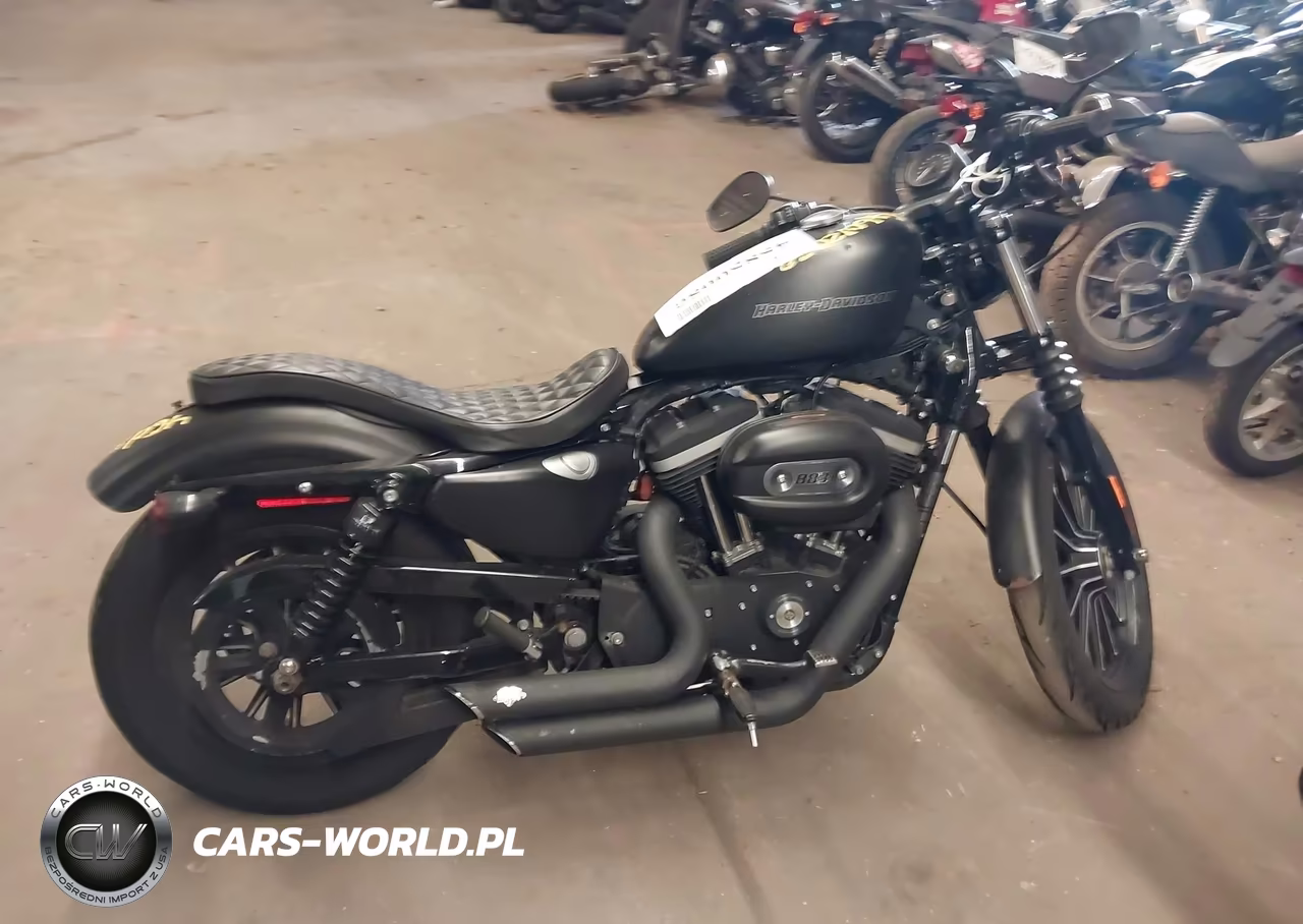 2009 Harley-Davidson Xl883 N VIN:1HD4LE2469K454484 - 8