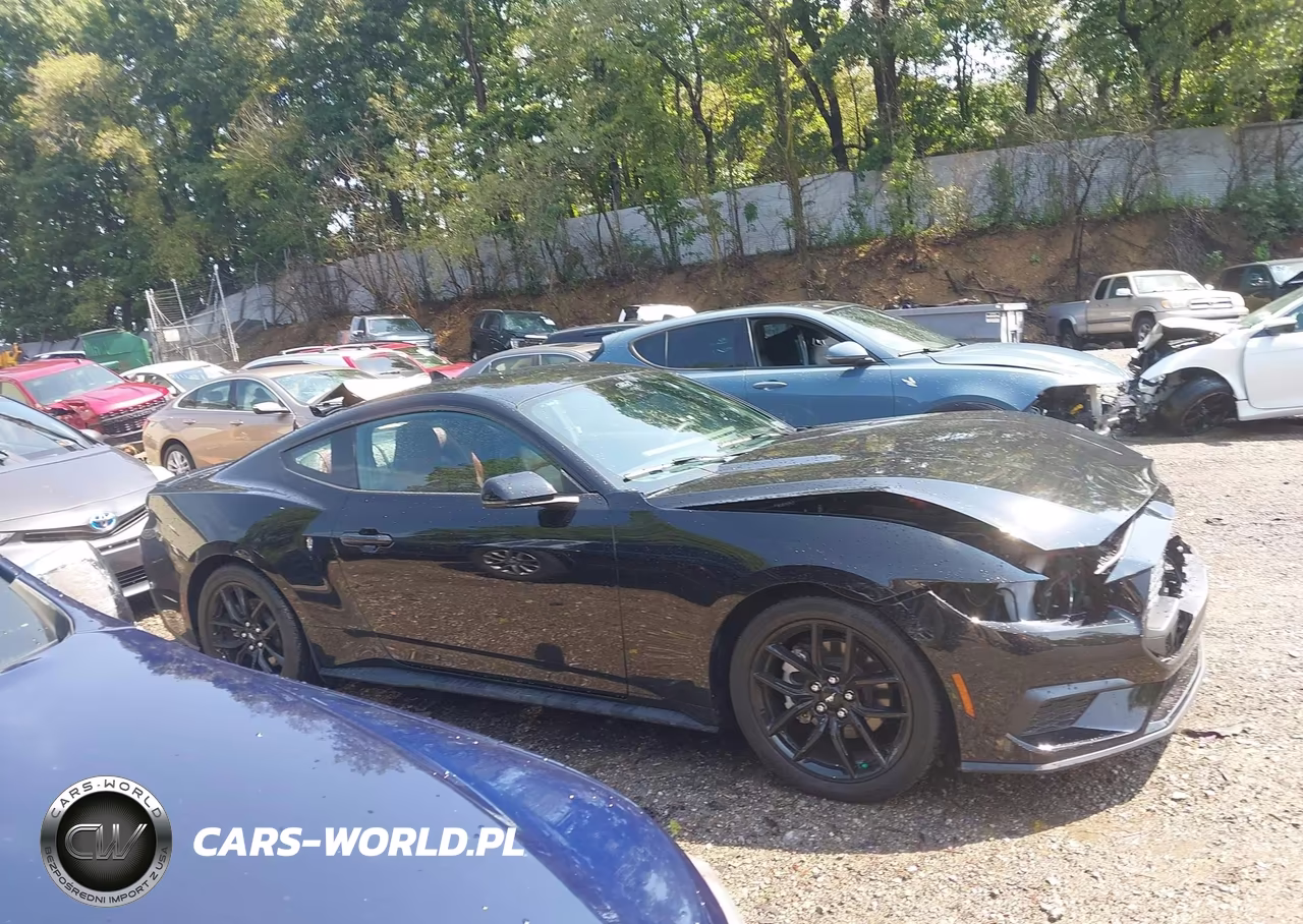 2025 Ford Mustang Ecoboost Premium Fastback VIN:1FA6P8TH2S5125261 - 13