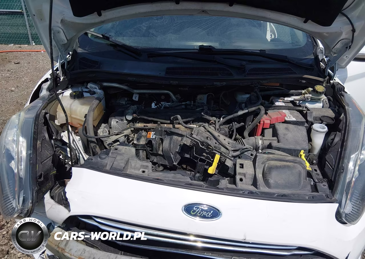 2016 Ford Fiesta Se VIN:3FADP4EJ6GM144381 - 10