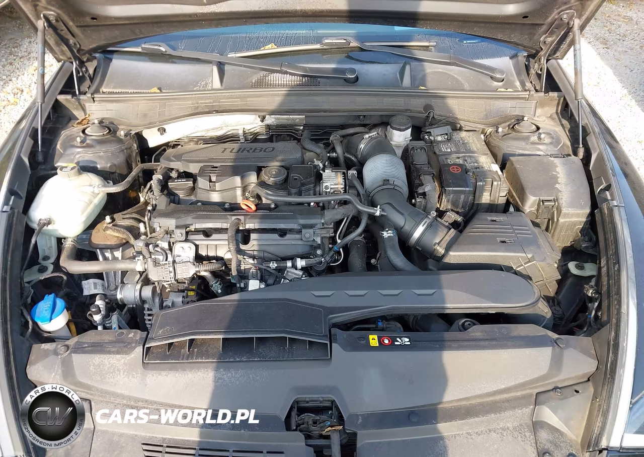 2020 Hyundai Sonata Limited VIN:5NPEH4J22LH025110 - 10