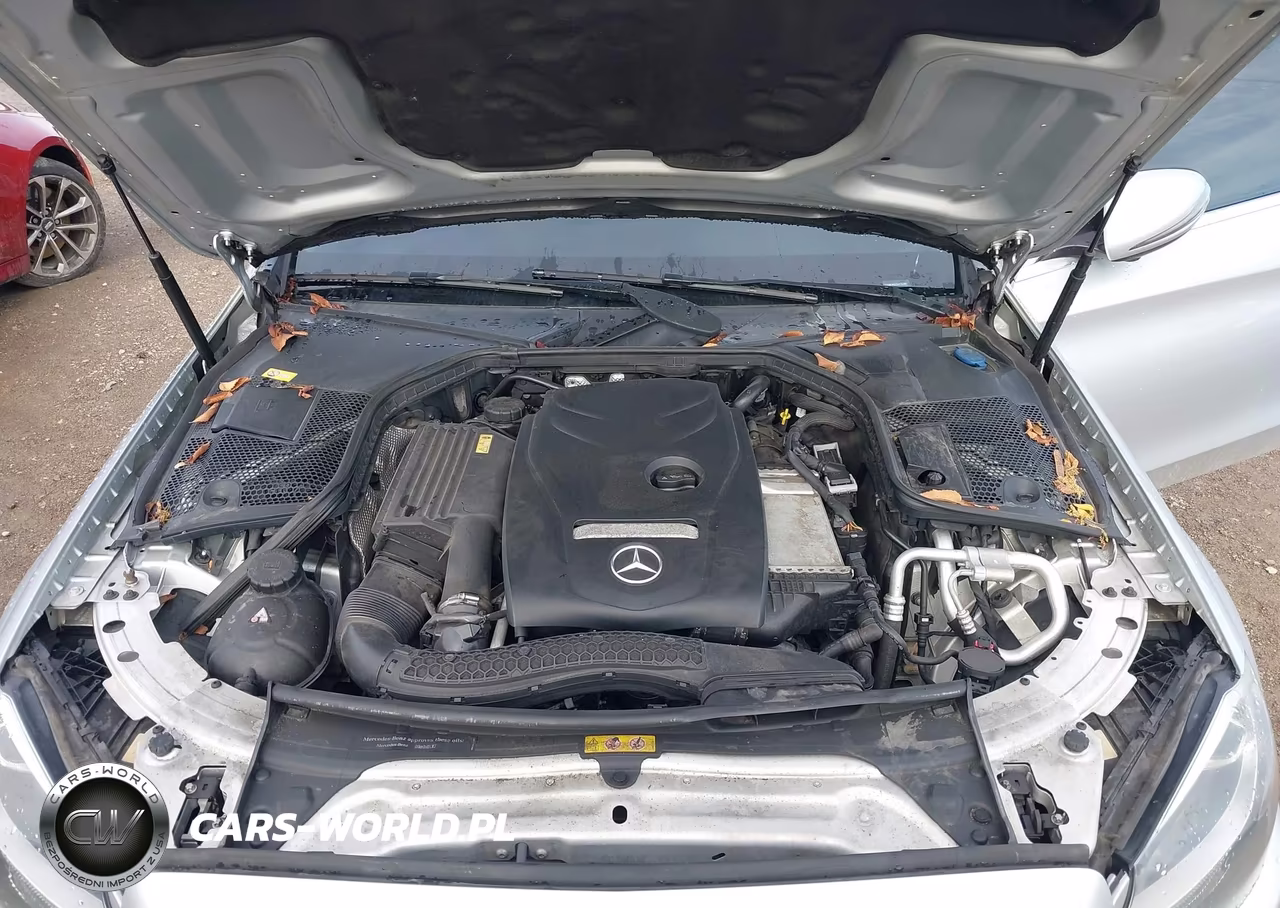 2016 Mercedes-Benz C 300 Luxury 4Matic VIN:55SWF4KB2GU115448 - 10