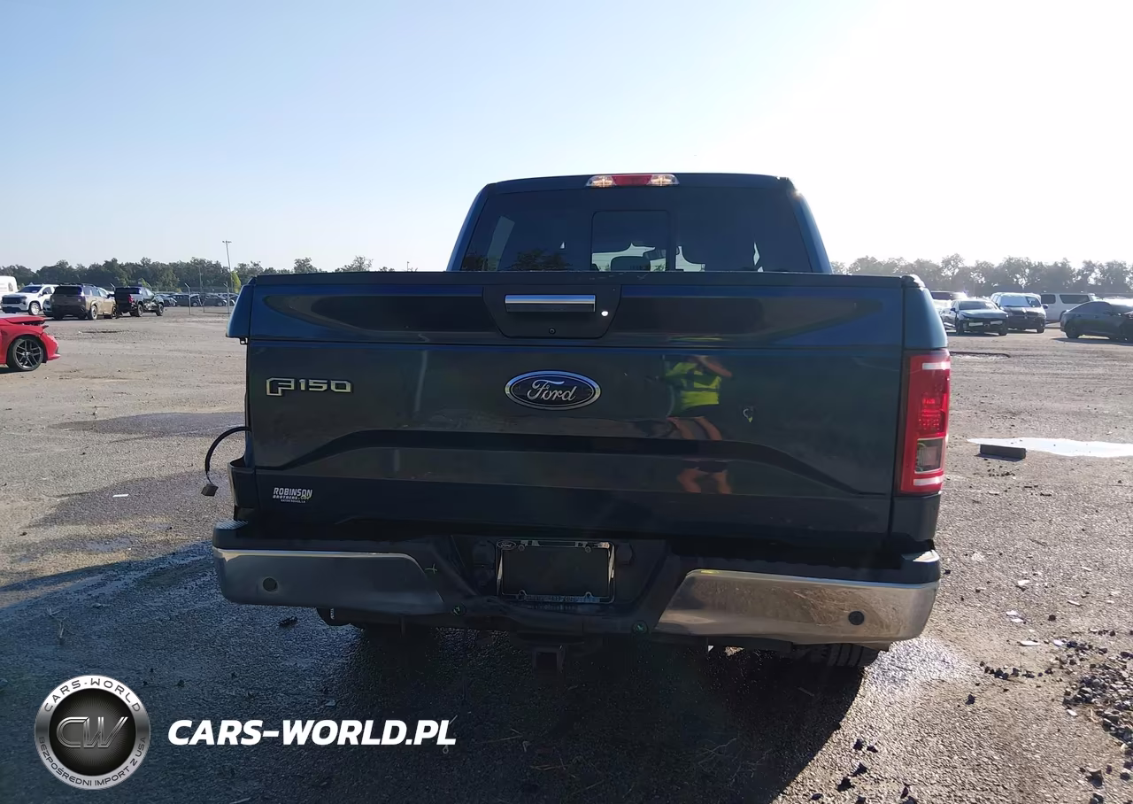 2017 Ford F-150 Xlt VIN:1FTEW1CF0HKC09958 - 17