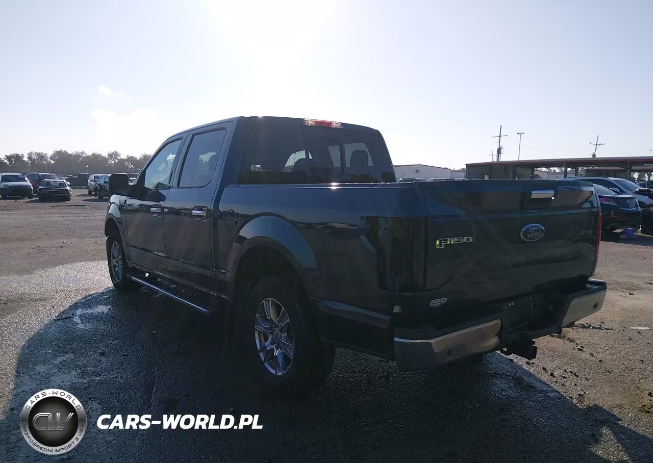 2017 Ford F-150 Xlt VIN:1FTEW1CF0HKC09958 - 3