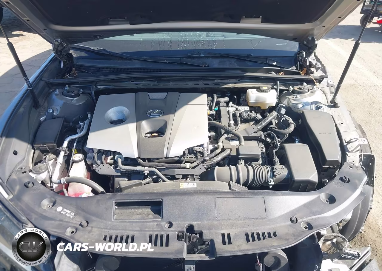 2020 Lexus Es 300H VIN:58AD21B14LU009423 - 10