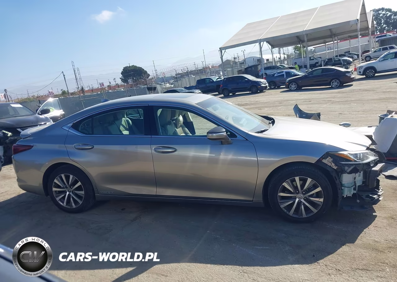 2020 Lexus Es 300H VIN:58AD21B14LU009423 - 14