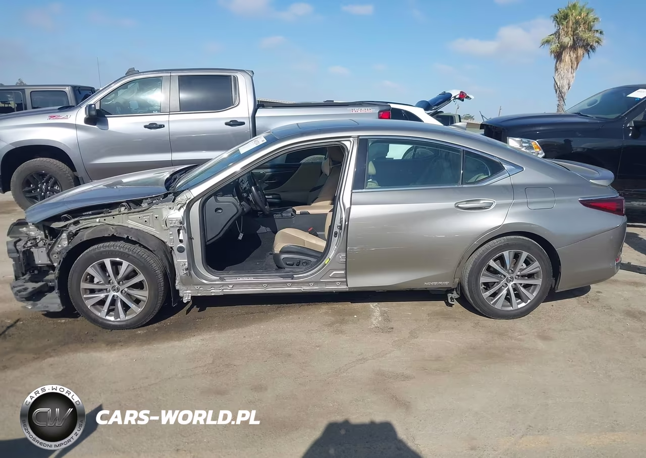 2020 Lexus Es 300H VIN:58AD21B14LU009423 - 15