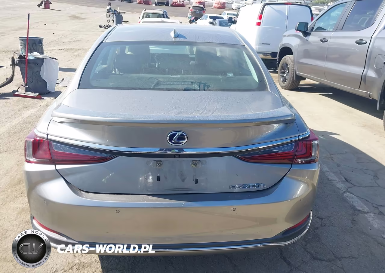 2020 Lexus Es 300H VIN:58AD21B14LU009423 - 17