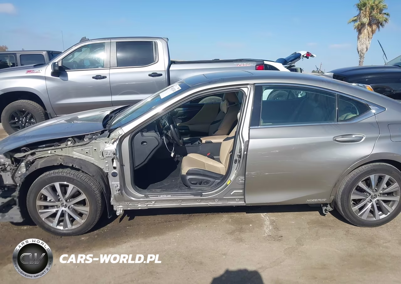 2020 Lexus Es 300H VIN:58AD21B14LU009423 - 18