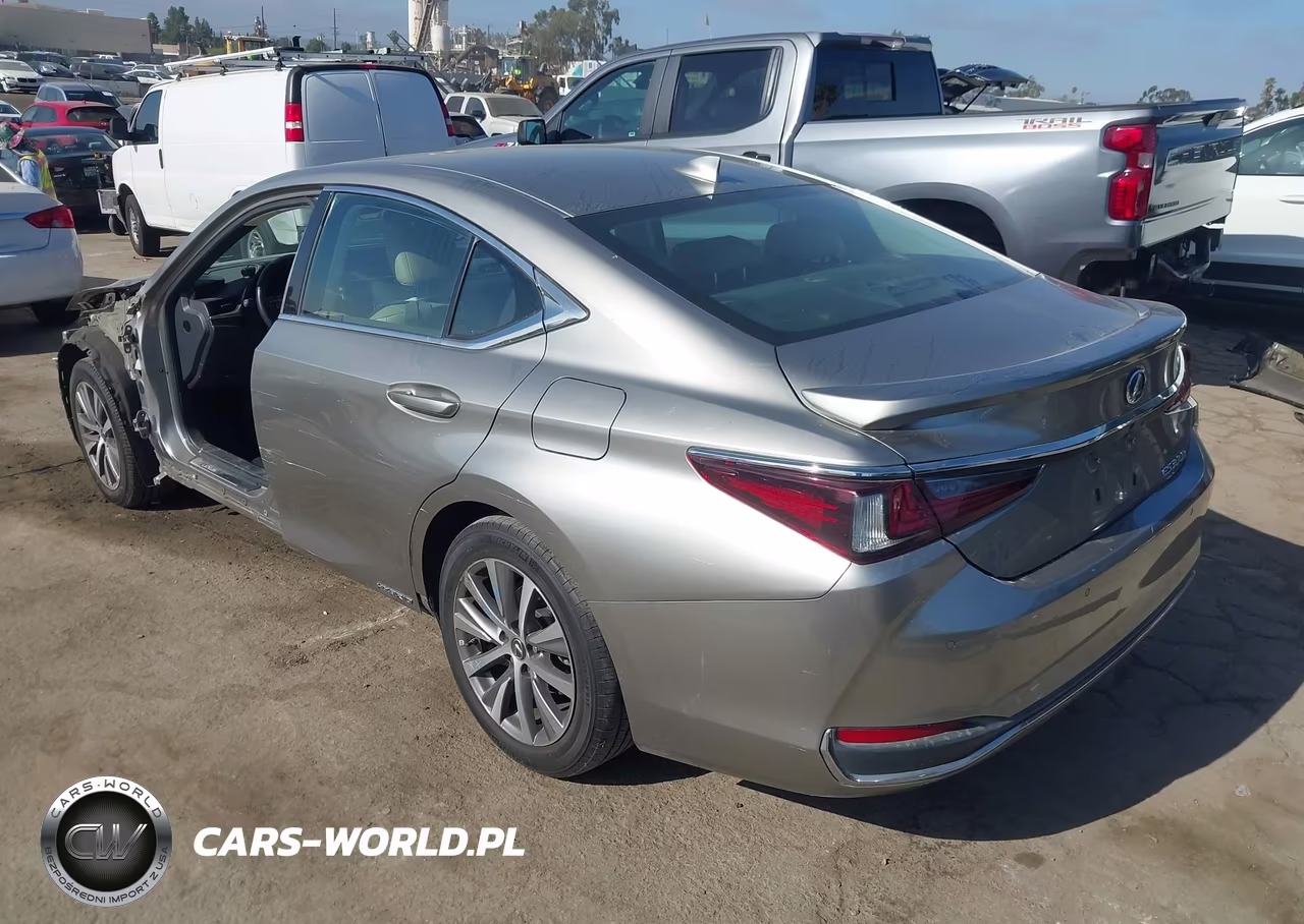 2020 Lexus Es 300H VIN:58AD21B14LU009423 - 3