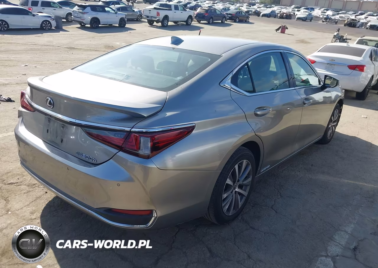 2020 Lexus Es 300H VIN:58AD21B14LU009423 - 4
