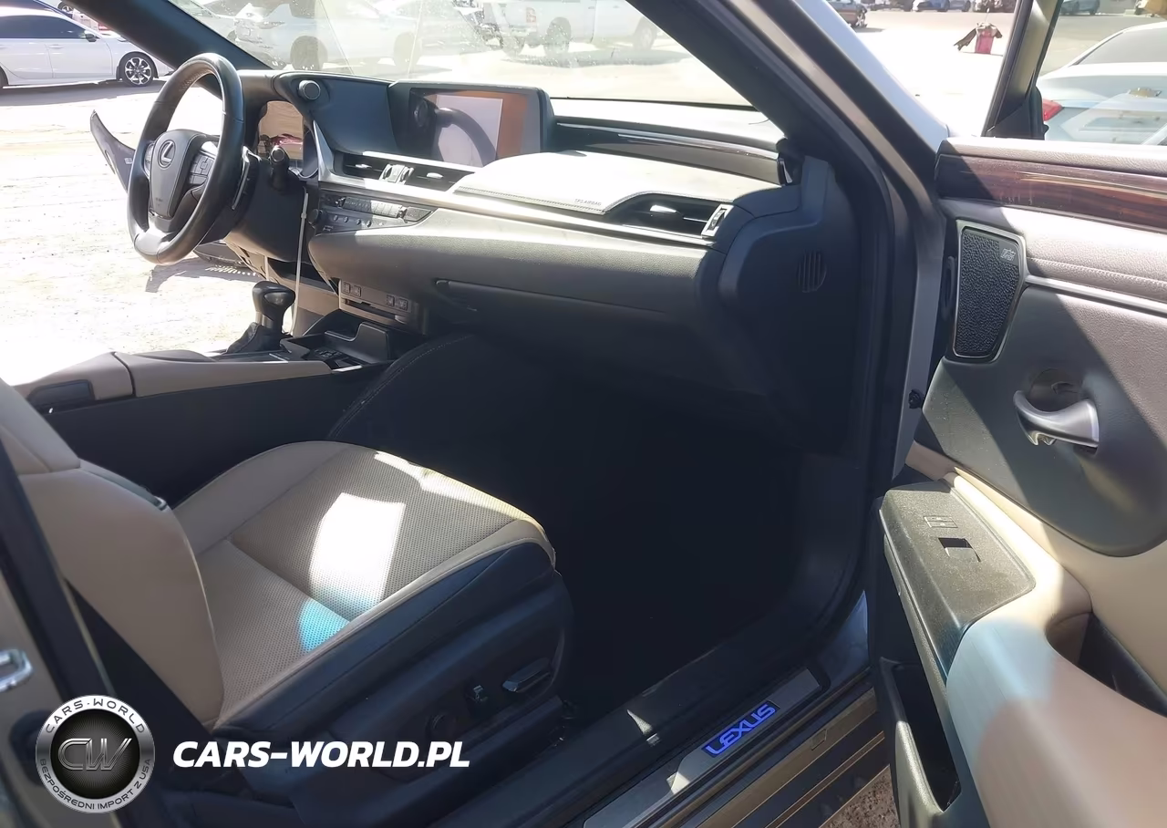 2020 Lexus Es 300H VIN:58AD21B14LU009423 - 5