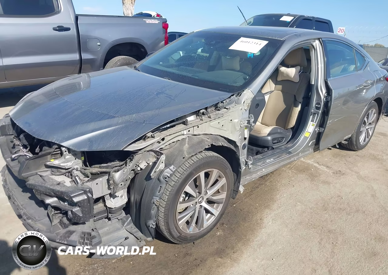 2020 Lexus Es 300H VIN:58AD21B14LU009423 - 6