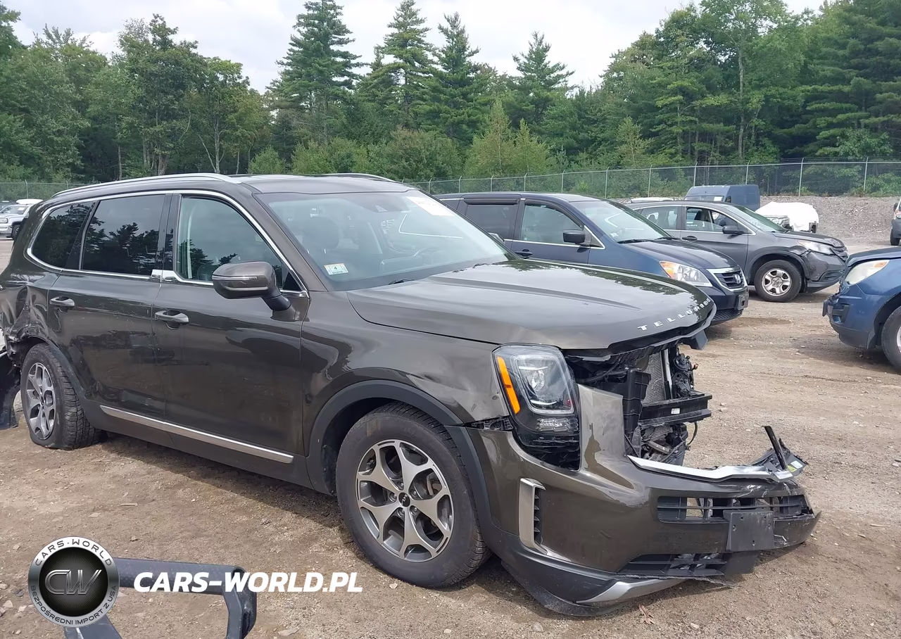 2022 Kia Telluride Ex VIN:5XYP3DHC9NG271975 - 1