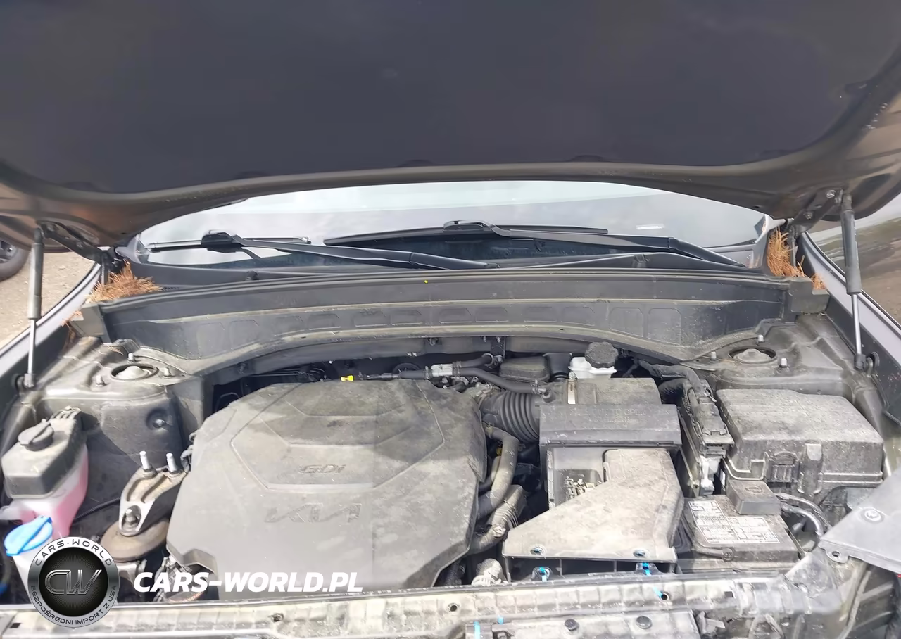2022 Kia Telluride Ex VIN:5XYP3DHC9NG271975 - 10