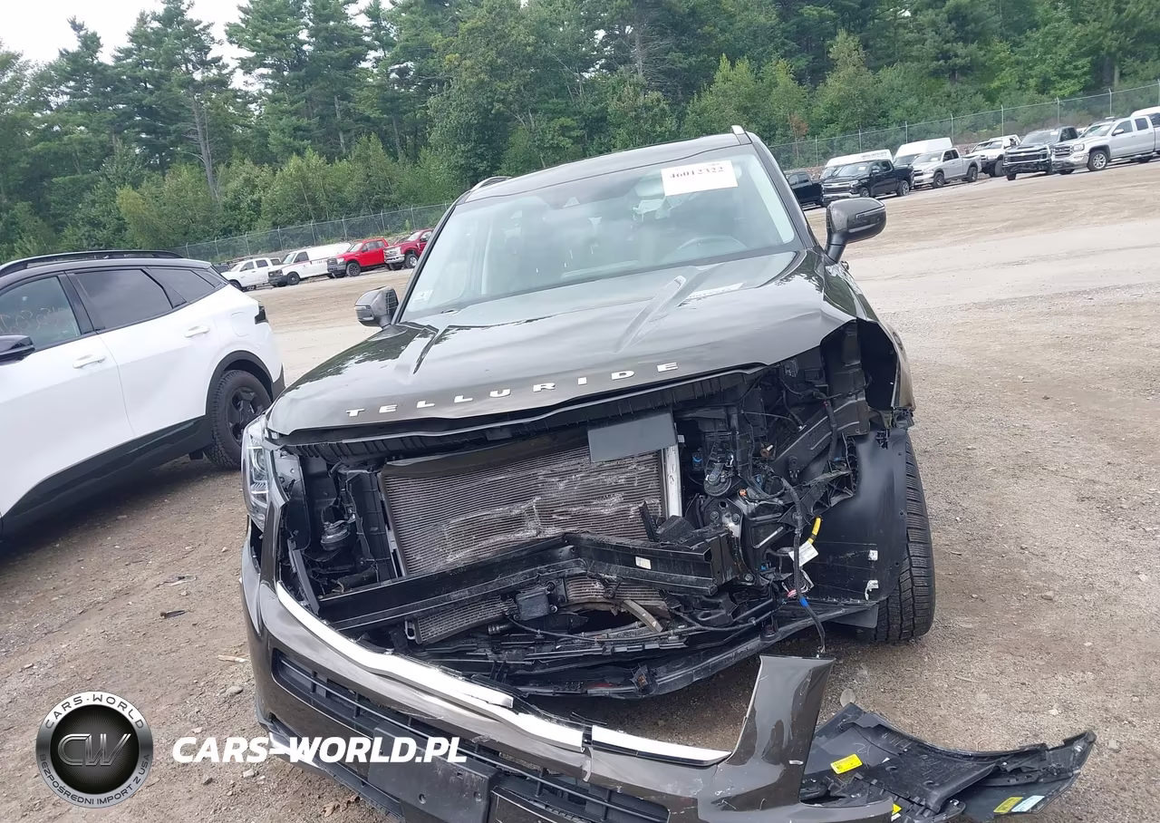 2022 Kia Telluride Ex VIN:5XYP3DHC9NG271975 - 13