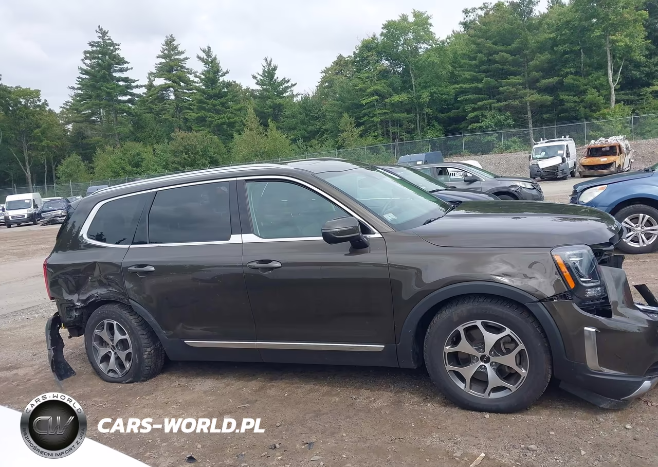 2022 Kia Telluride Ex VIN:5XYP3DHC9NG271975 - 14